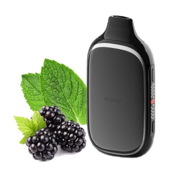 ROQY 40000 Ожина М'ята 5%