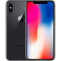 iPhone X 256GB Space Gray (MQAF2)